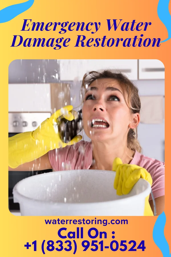 Emergency Water Damage Restoration in Chicopee, MA